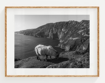 Slieve League Cliffs, Co Donegal, Ireland | Unframed Irish Black & White Landscape Photography Wall Art Print | New Home Gift Idea