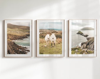 Set of 3 Irish Wall Art Prints featuring photography from Ireland Coumeenoole Beach and Dunmore Head on the Dingle Peninsula | Irish Gifts
