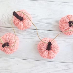 Decorazioni autunnali. Ghirlanda di zucche per Halloween.