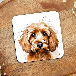 May include: A watercolour painting of a brown and white dog with curly hair. The dog is looking directly at the viewer with a serious expression. The background is white with a few splashes of colour.