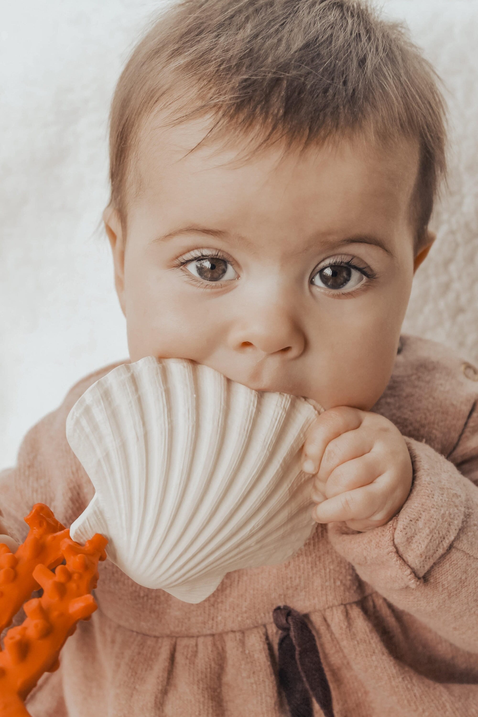 Shell Teether En Caoutchouc Naturel Jouets Pour Bebe De Etsy France