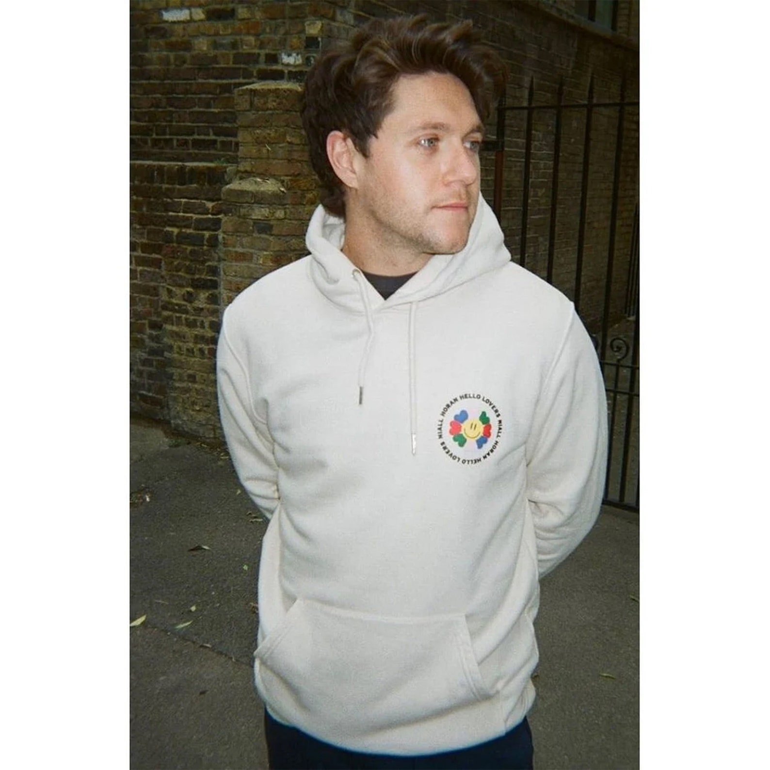 Niall Horan Hello Lovers off Hoodie Niall Horan Sweatshirt - Etsy UK