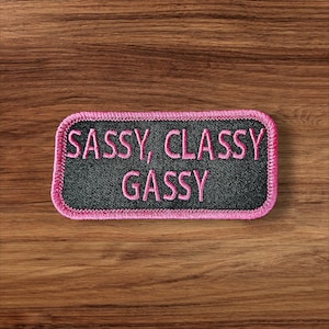 Sassy, Classy, Gassy Pet Patch, Dog Patch, Pet Patch, Pet Vest Patch, Sew-on Patch, Hook Patch