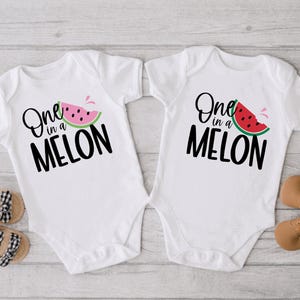 One in a Melon Birthday Shirt, Watermelon Birthday Shirt, 1st Birthday Shirt, Fruit Birthday Shirt, 1 in a Melon Birthday Shirt