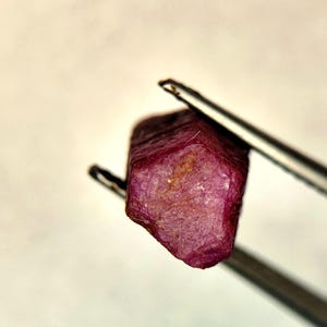 以下が含まれることがあります： 深いマゼンタレッドの色合いと質感のあるマットな表面を持つ、六角形の未加工ルビークリスタル。この宝石は銀色の金属製ピンセットで保持されており、その自然で研磨されていない不規則な結晶構造を示しています。