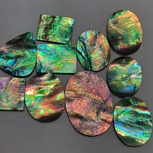 Puede incluir: Una colección de piezas iridiscentes de concha de abulón en varias formas, incluyendo óvalos, rectángulos y gotas. Las conchas muestran una vibrante mezcla de tonos verdes, azules y morados, con una superficie brillante y texturizada. Las piezas están dispuestas sobre un fondo gris.