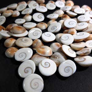 Naturliga Shiva-ögon-cabochoner: Släta polerade ädelstenar för smyckestillverkning (8 x 15 mm)