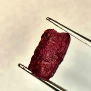 以下が含まれることがあります： 表面がざらざらとした不規則な形の、小さな未加工の深い赤色の宝石。銀色の金属製ピンセットで挟まれており、研磨されていない自然な形状と、結晶の面がはっきりと確認できる深紅の色合いが特徴です。