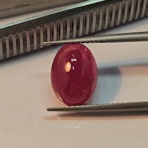 Könnte beinhalten: Ein polierter, ovalförmiger Rubin-Edelstein, gehalten von einer silbernen Pinzette. Der Rubin hat eine tiefe, transluzente rote Farbe und reflektiert das Licht. Die Pinzette hat einen geriffelten Griff, der Hintergrund ist hell.