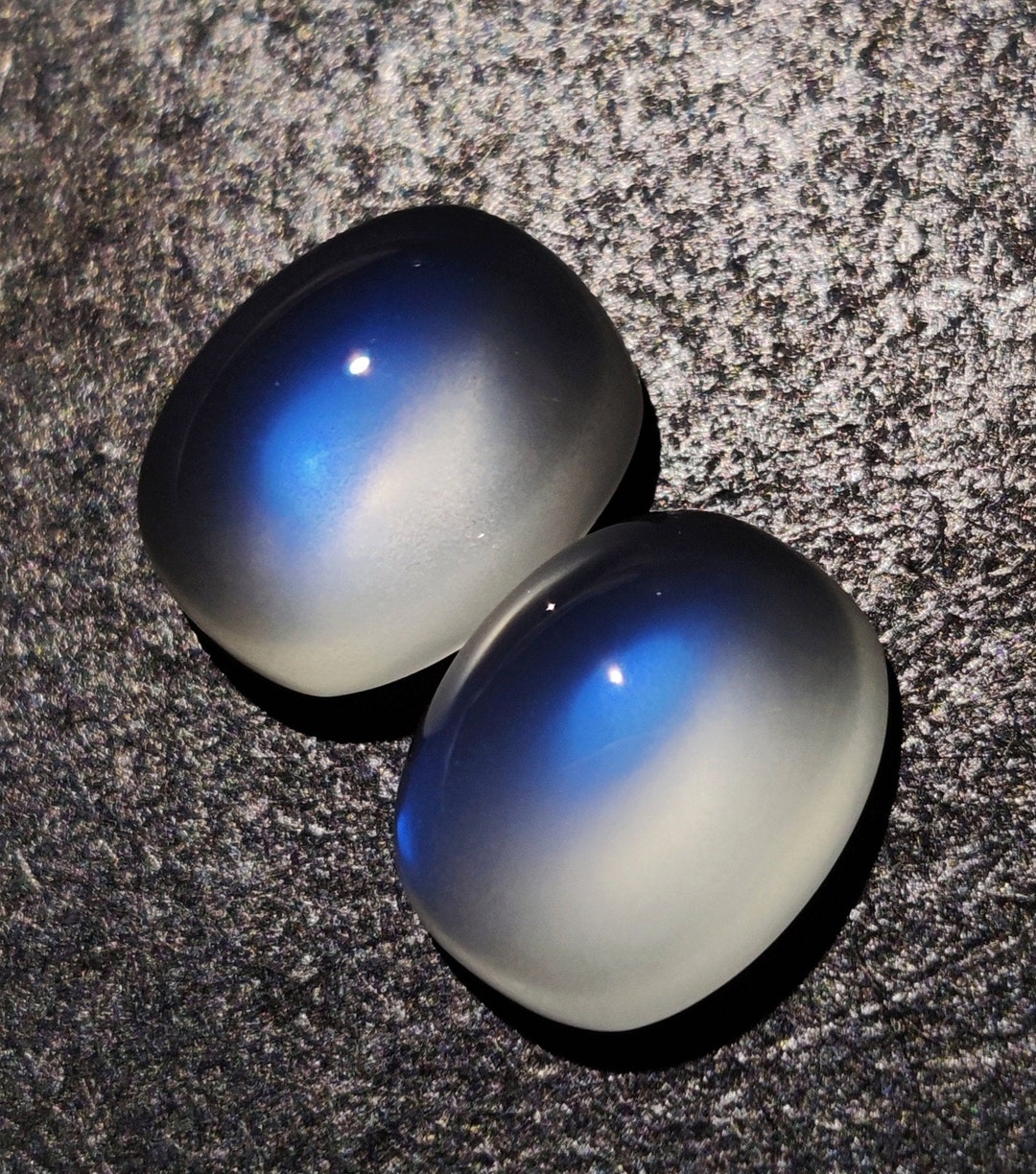 Blue & Belle | Black Opal Stud Earrings in 14kt Gold