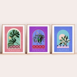 May include: Three framed prints with illustrations of different plants. The prints are on a white background. The first print is pink and features a Monstera plant. The second print is purple and features a Peperomia plant. The third print is blue and features a Calathea plant.
