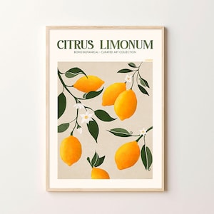 Kitchen Wall Art Sorrento Lemons, Home Décor Prints | Summer Prints | Kitchen Prints | Garden Prints