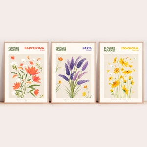 May include: Three illustrated posters with floral designs. Each poster features a different city name and country: Barcelona, Spain; Paris, France; and Stockholm, Sweden. The posters have a vintage aesthetic and feature a floral bouquet in the center of each poster.