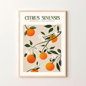 Orange Fruit Market Print, Kitchen Wall Art Downloads, Orange Wall Art, Fruit Market Lemon Poster, Lemon Kitchen Decor, Digital Prints