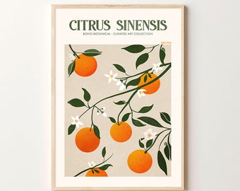 SXKJ Frutta Tela Pittura Limone Poster Arancione Stampa Pianta E Fiore Wall Art Natura Paesaggio Per Sala da pranzo Decorazione della parete di casa 60x90cmx3 senza cornice