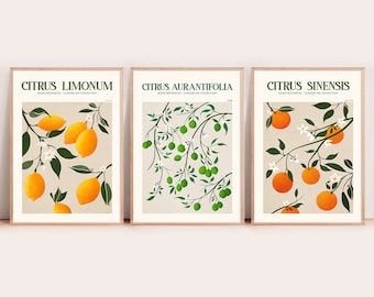 Set of 3 Citrus Art, Fruit Market Print, Kitchen Wall Art Downloads, Citrus Prints, Fruit Market Orange, Lime, Lemon Poster, Digital Prints