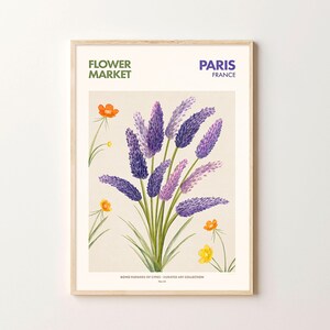 May include: A framed print of a botanical illustration of purple lavender flowers with green stems and leaves. The print has the text "FLOWER MARKET" and "PARIS FRANCE" at the top and "BOND FLOWERS OF CITIES - CURATED ART COLLECTION" at the bottom.
