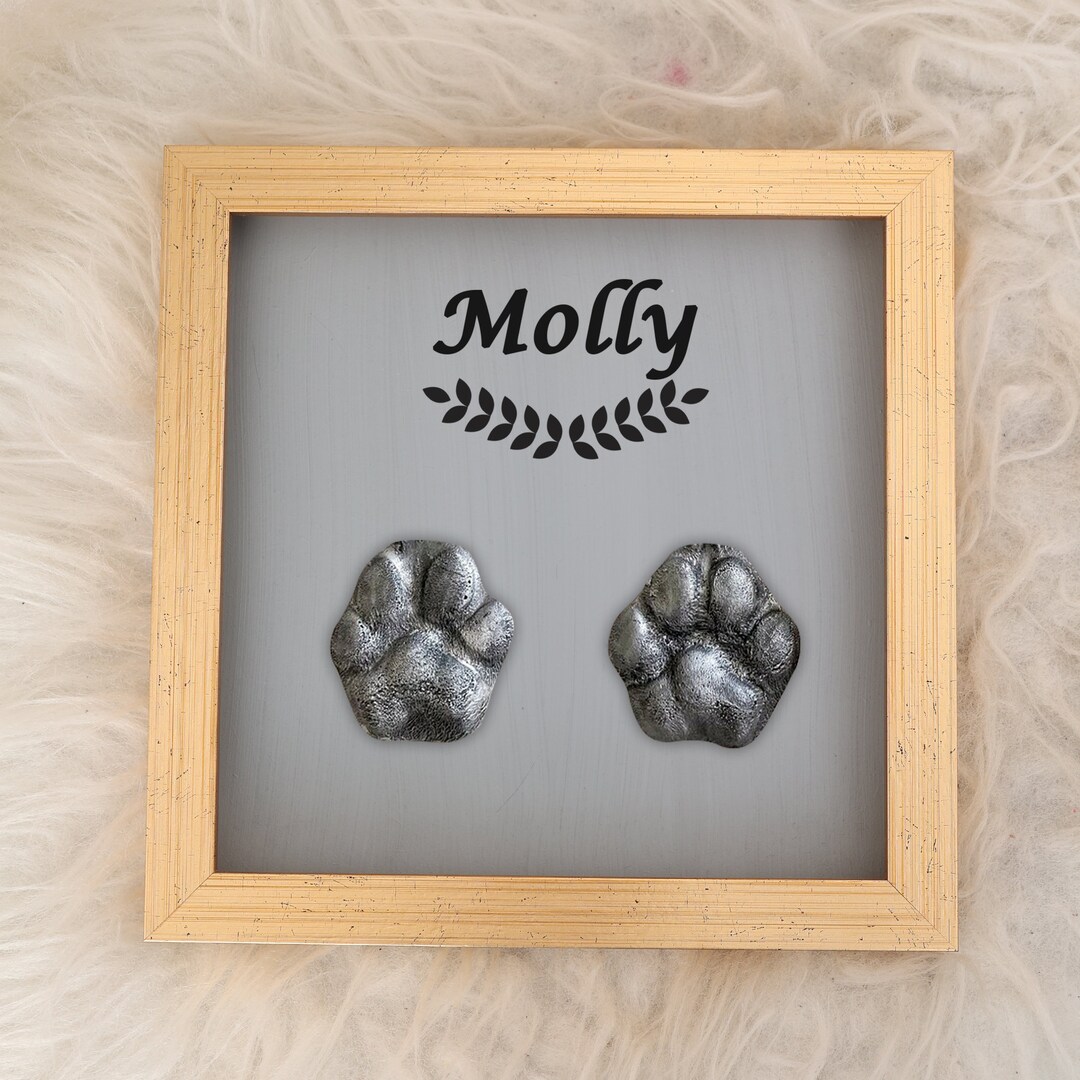 Dog Paw Print Memorial Paw Casting Kit Pet Paw Prints Kit Etsy