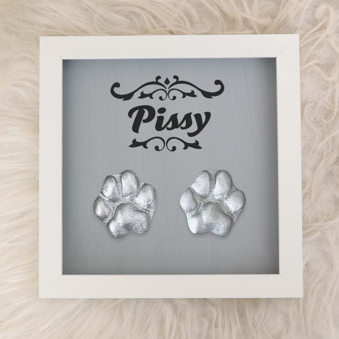 Dog Paw Print Memorial Paw Casting Kit Pet Paw Prints Kit Etsy