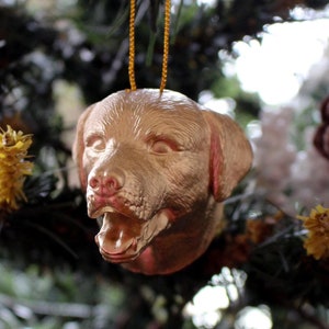 May include: A gold-colored dog head ornament hanging from a Christmas tree. The ornament is made of plastic and has a realistic design.