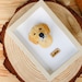 see more listings in the Pet Frame section