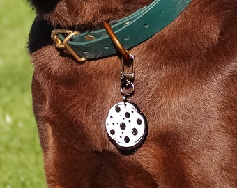 Engraved Pet ID Tag: Personalized Acrylic Dog and Cat Tag