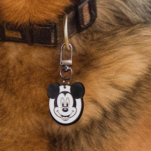 Könnte beinhalten: Ein schwarz-weißes Mickey-Mouse-Hundeanhänger mit einer silbernen Kette, die an einem schwarzen Hundehalsband befestigt ist.