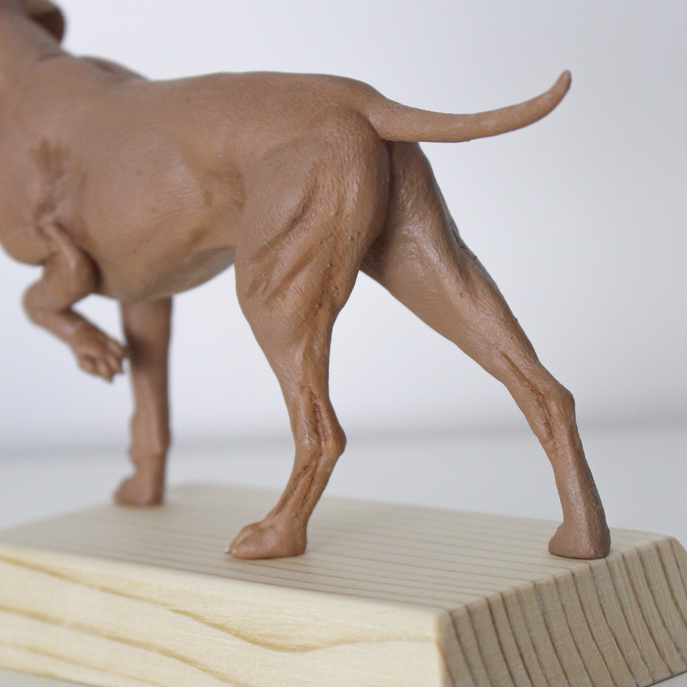 Custom Resin Vizsla Statue Unique Artwork for Hunting Dog Enthusiasts Etsy