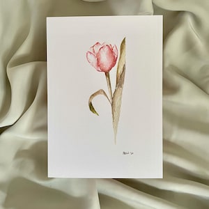 5x7 watercolor pink tulip flower floral art floral painting botanical illustration framable art room decor gift for her tulip art print pink