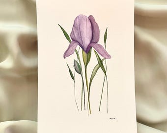 ORIGINAL 5x7 iris floral painting watercolor floral art purple print wildflower art print original flower art botanical illustration iris