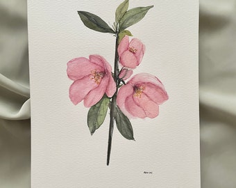 ORIGINAL 8x10 watercolor flowering quince painting, pink floral art, botanical illustration, 8x10 wall art, floral decor, gift for her, pink