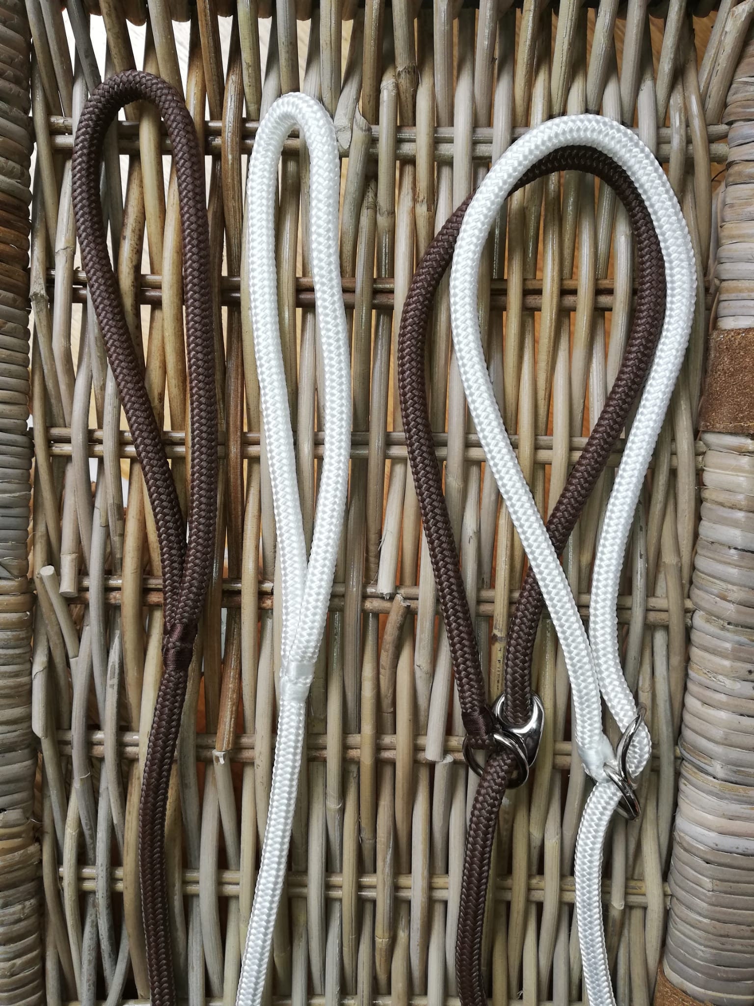 Dog Show Lead, All in One Classic Dog Show Lead, Dog Show Lead Nylon