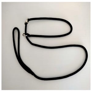 Dog Show Lead – Lightweight All-in-One Cord Lead with Gold or Silver Ring – Classic Thin Show Lead for Small & Medium Breeds