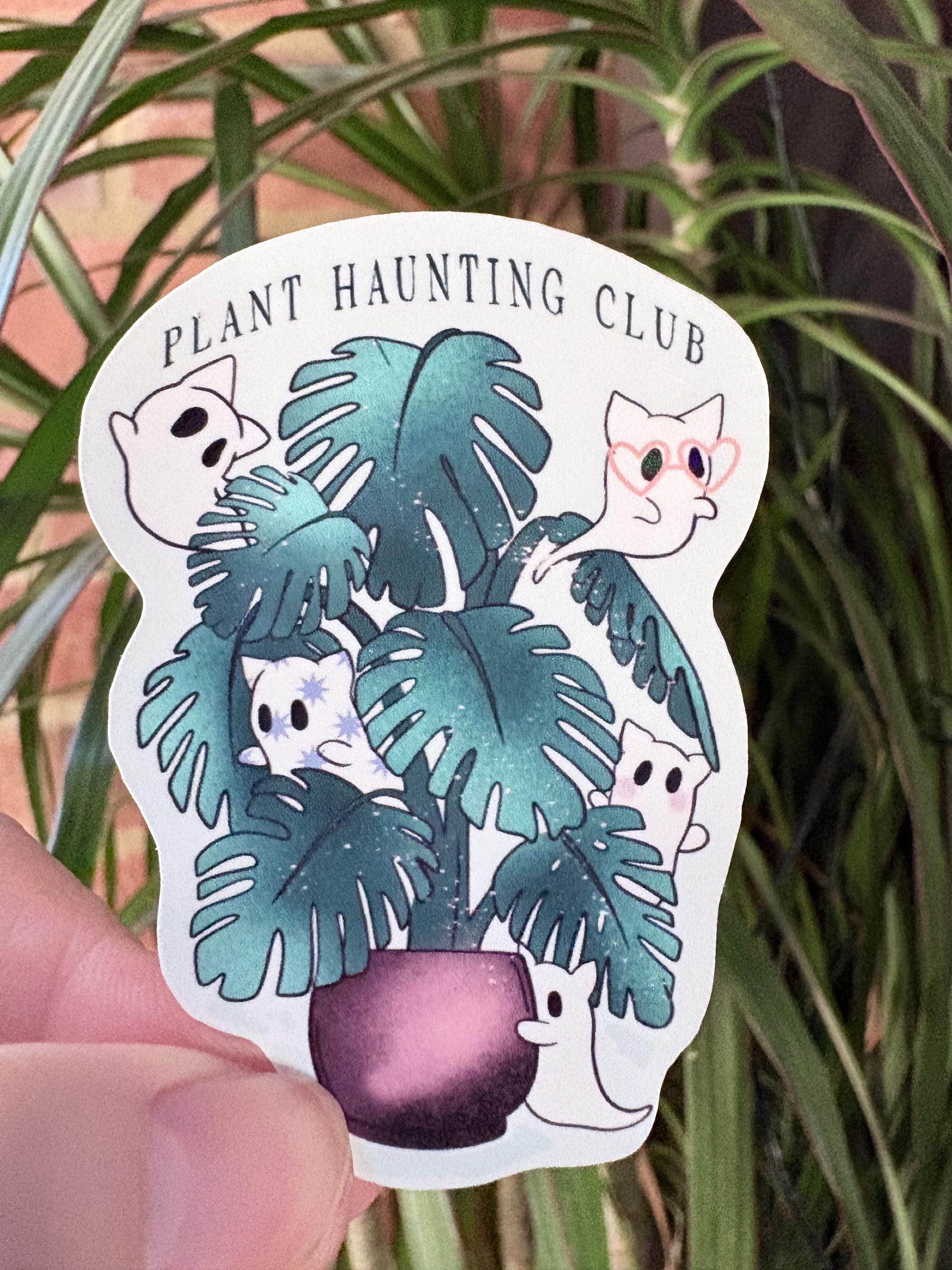 Monstera White Ghost - Etsy Canada