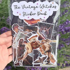 Puede incluir: Una bolsa de pl&aacute;stico transparente que contiene una colecci&oacute;n de pegatinas titulada The Vintage Witches Sticker Pack. Las pegatinas presentan varias ilustraciones de arte cl&aacute;sico de figuras, un tigre y una polilla sobre un fondo oscuro.