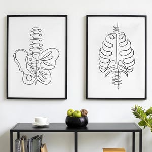 May include: Two framed black and white line art prints of human anatomy. One depicts the pelvis and spine, the other the rib cage and spine. The prints are displayed above a black table with a white teacup, a black bowl of green apples, and a plant.