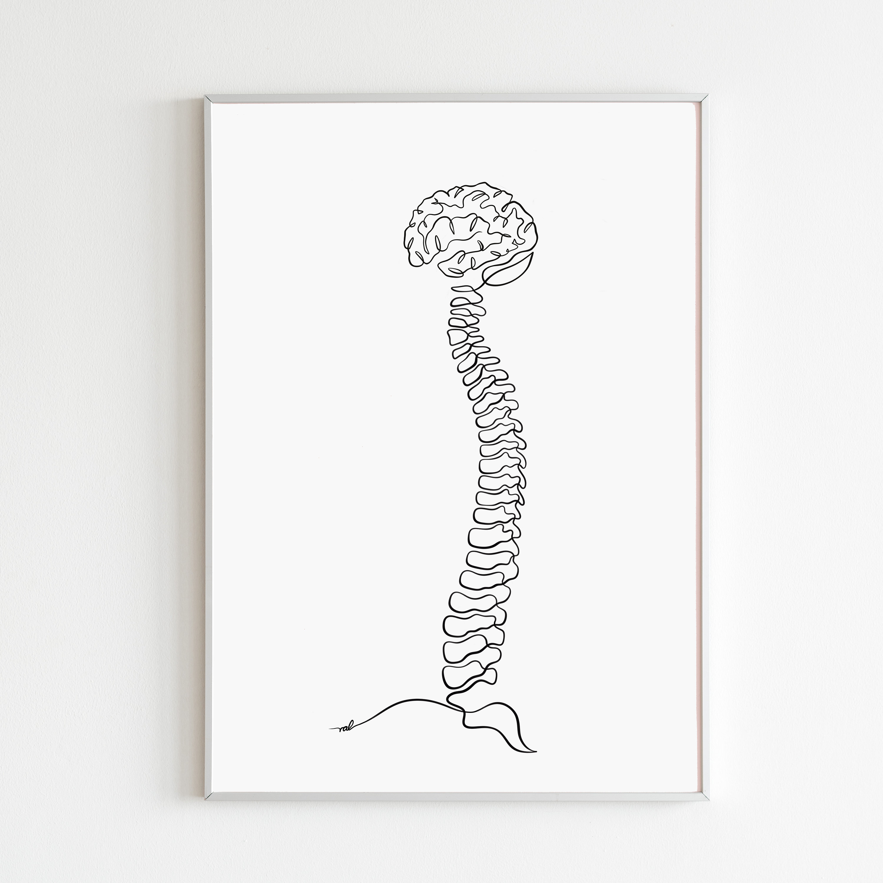 Spine Brain Anatomy Art Print, Chiropractic Wall Decor Digital, Human ...
