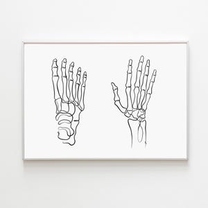May include: A framed print featuring minimalist line art of a human foot and hand skeleton. The black skeletal illustrations are set against a white background, creating a stark contrast. The artwork is encased in a white frame.