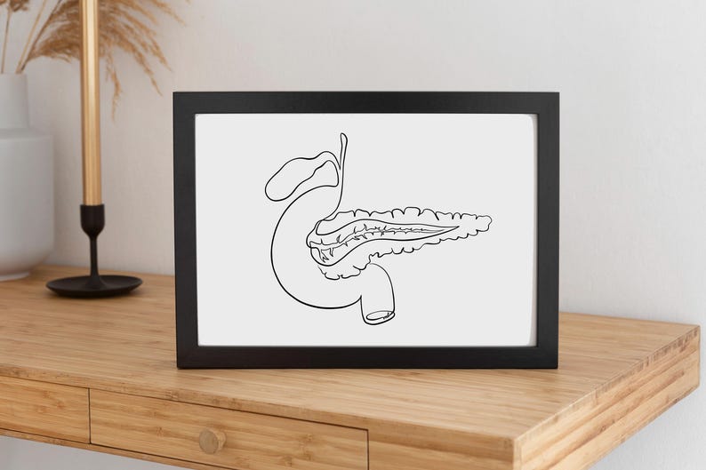 Pancreas Anatomy Art, Medical Office Wall Decor, One Line Drawing Human ...