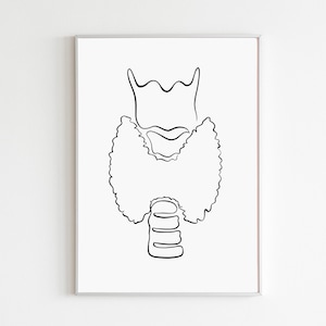 Könnte beinhalten: Linienzeichnung der menschlichen Schilddrüse. Die Schilddrüse ist eine schmetterlingsförmige Drüse, die sich an der Vorderseite des Halses befindet.