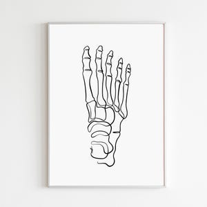 May include: A framed print featuring a minimalist line drawing of a human foot skeleton in black against a white background. The artwork showcases the bones of the foot in a continuous line, emphasizing the anatomical structure. The print is encased in a simple, neutral-toned frame.
