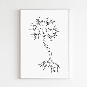 Puede incluir: Una impresión artística minimalista enmarcada que presenta un dibujo lineal negro de una neurona. La obra de arte representa el cuerpo celular con dendritas, un axón y estructuras en forma de raíz, todo sobre un fondo blanco. La impresión está encerrada en un marco plateado.