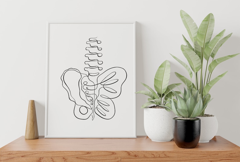 May include: A black and white line drawing of a human spine and pelvis, resembling a butterfly, printed on a white background and framed in a white frame.