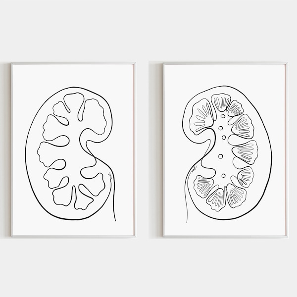 Kidney Anatomy Art Set of 2 Prints Urology Wall Art Printable Nieren Poster Set Urologie Kunst Bilderset Digitales Kunstwerk