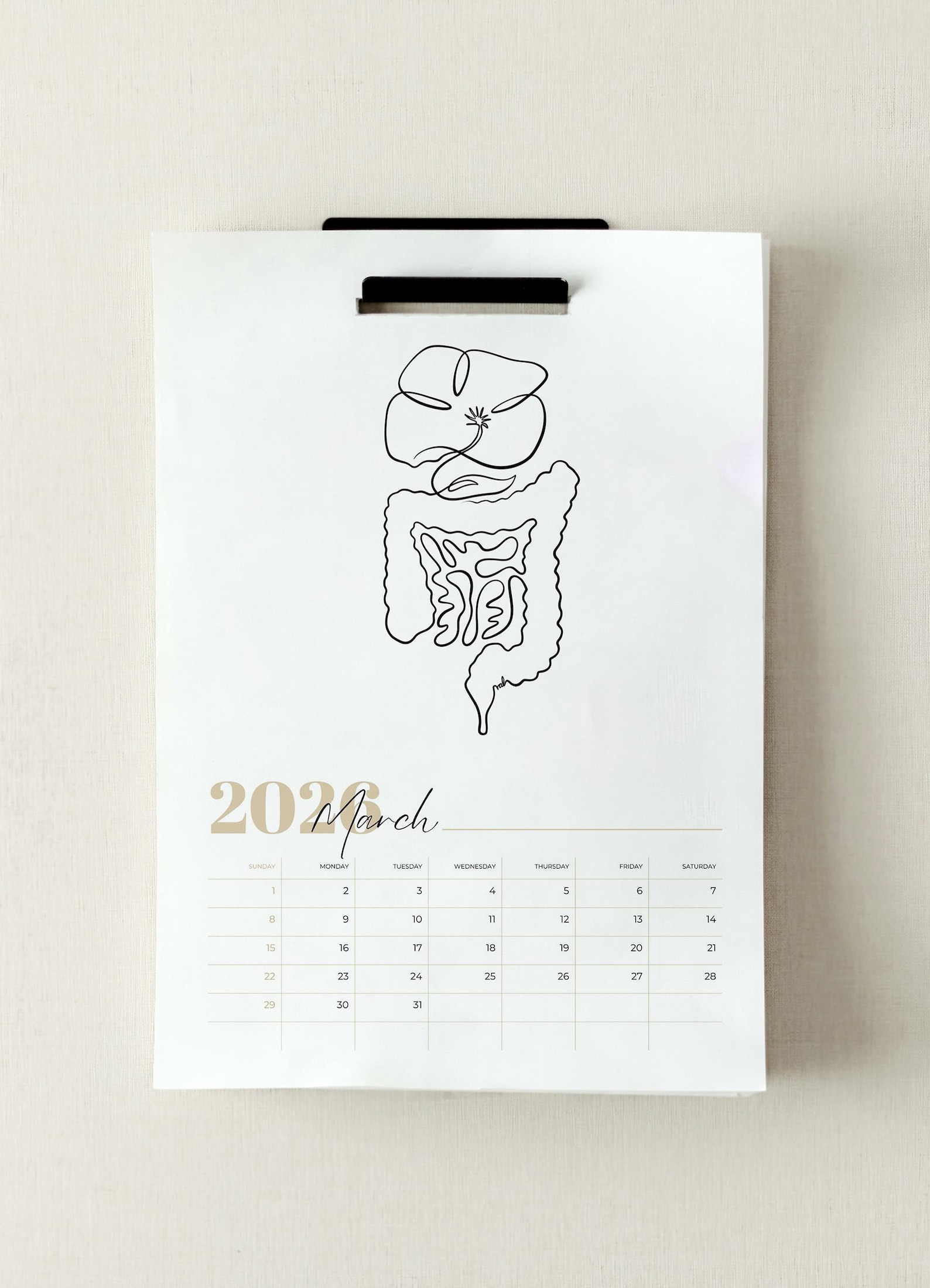 2026 Anatomy Wall Calendar, Printable Planner for Doctors, Biology ...