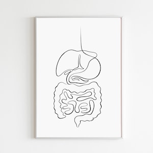 Stampa artistica sull'apparato digerente, stampa murale sull'intestino, poster sulla salute intestinale, regalo di gastroenterologia per l'arredamento di studi medici, stampa sul tratto alimentare