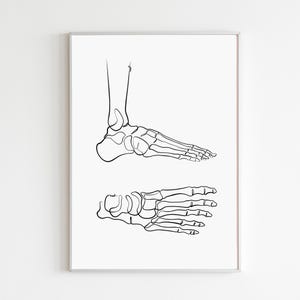 Foot Anatomy Line Art Print, Podiatry Office Decor, Orthopedic Artwork, Chiropractic Illustration Poster (Digital Download)