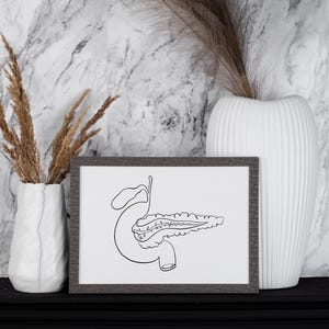 Pancreas Anatomy Art, Medical Office Wall Decor, One Line Drawing Human ...