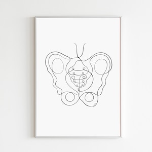 Pelvic Floor Art Print, Physical Therapy Anatomy Art Printable, Medical Anatomy Poster, Abstract Pelvis Wall Art Physiotherapy Wall Decor