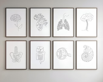 May include: Set of eight black and white line art prints featuring anatomical illustrations of the human body, including the brain, heart, lungs, spine, digestive system, eye, and a nautilus shell.